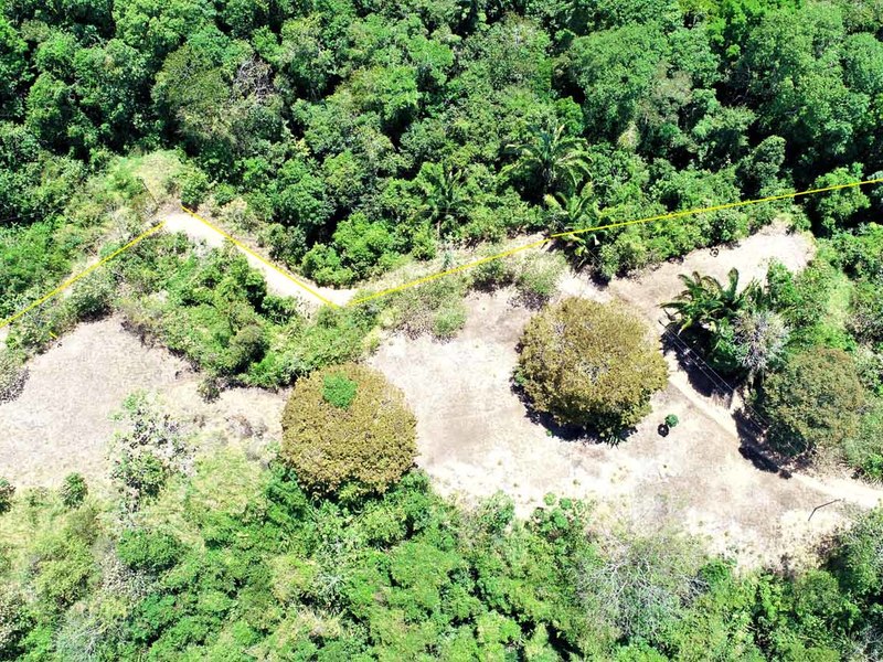 0 bed Lot/Land For Sale in Ojochal,  - 1